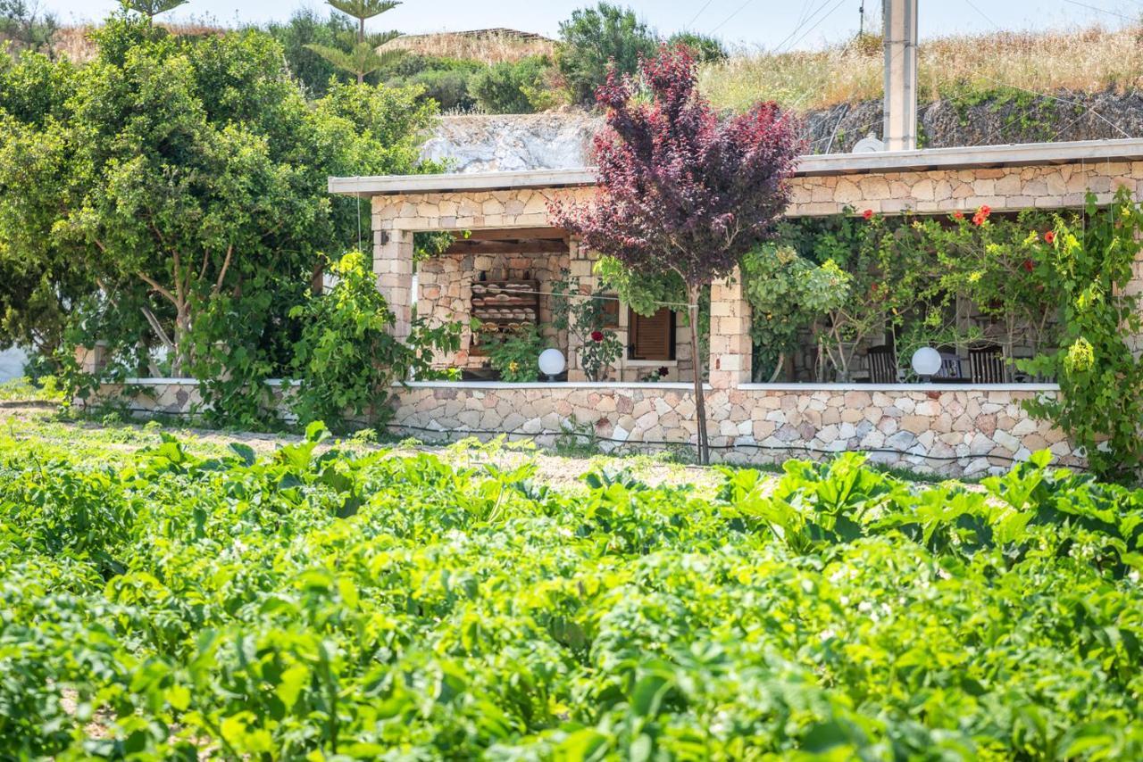 Emilia'S Little Farmhouses Agioi Anargyroi  Extérieur photo